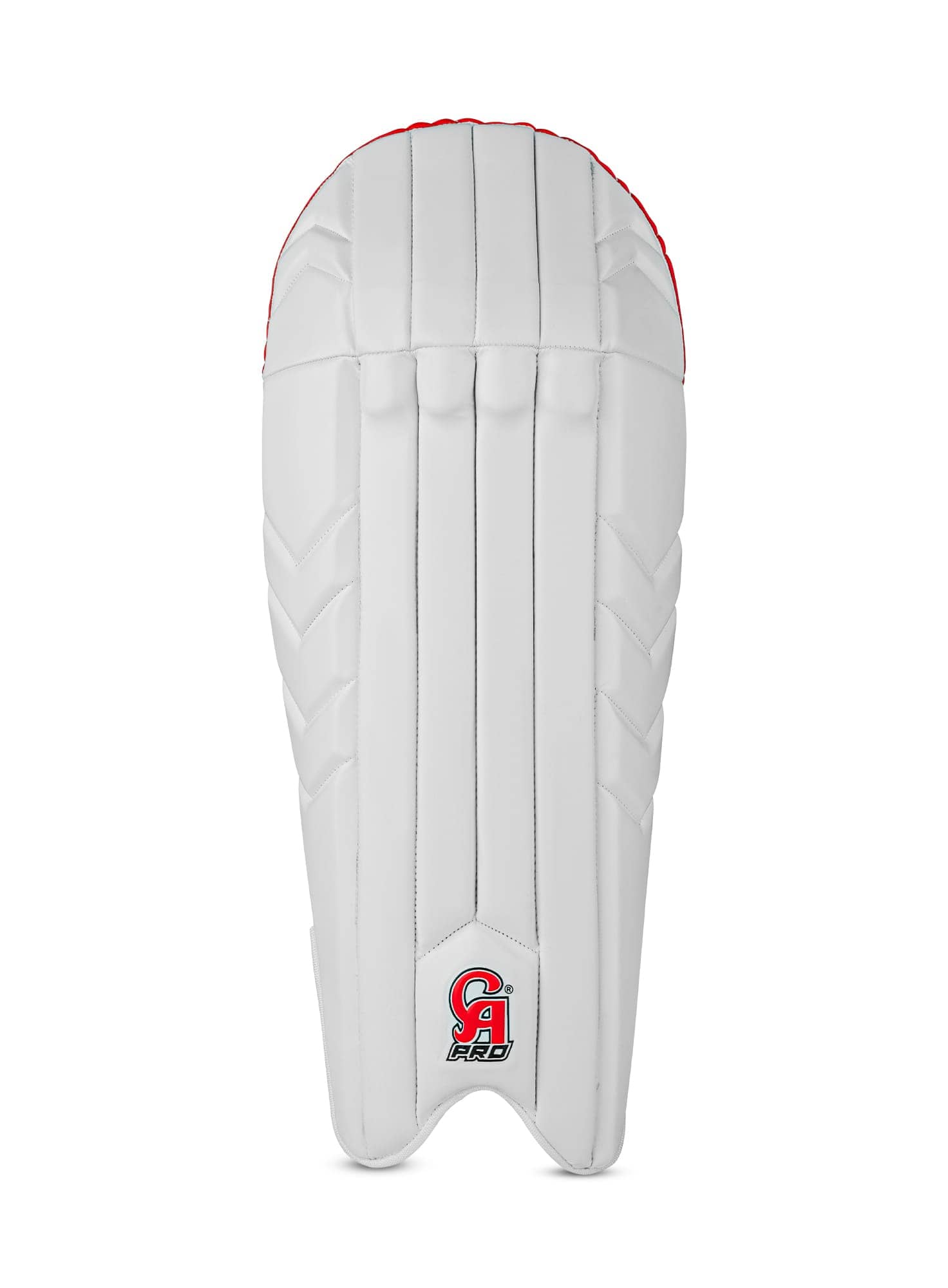 Pro Player's Edition