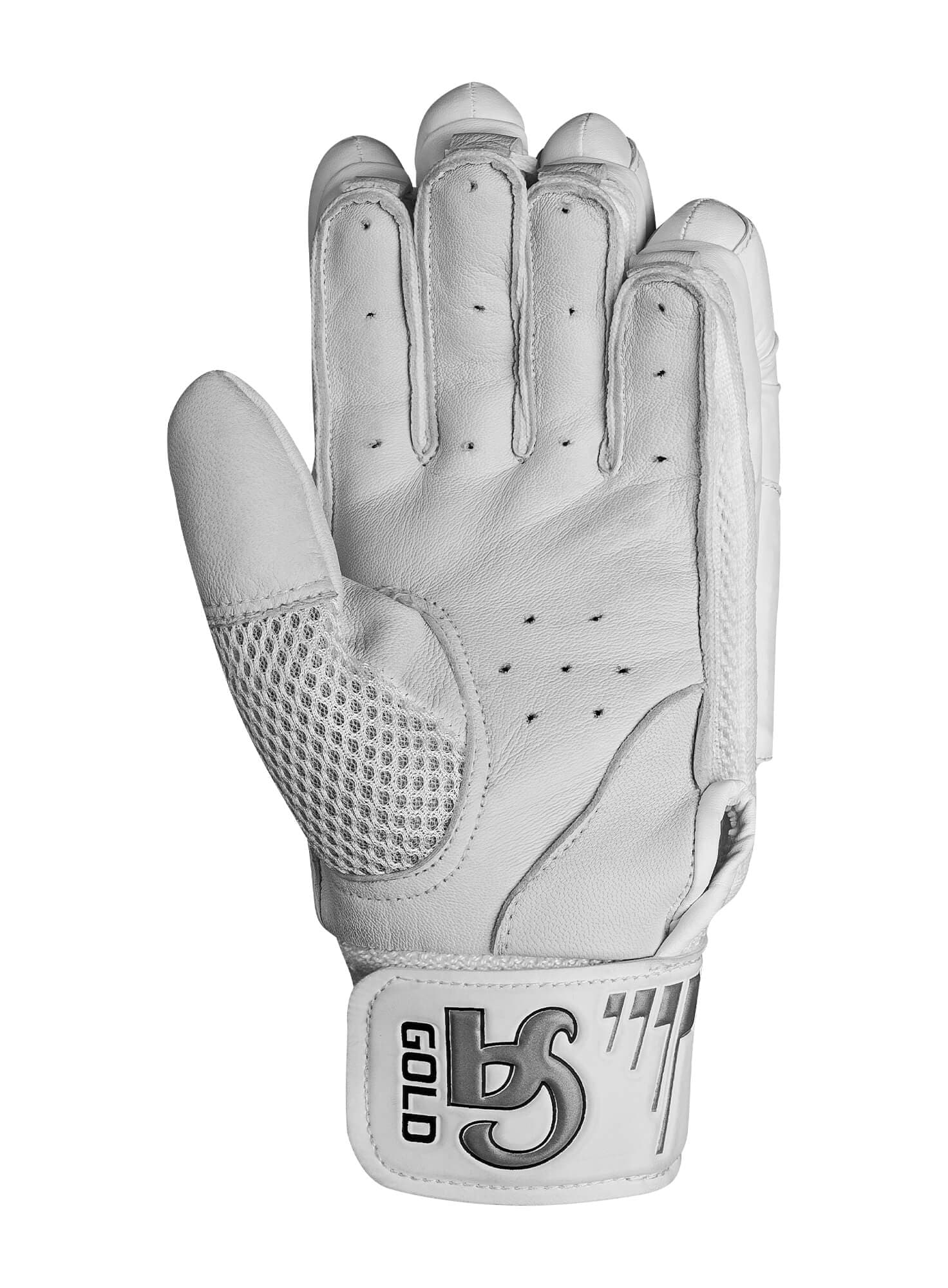 CA GOLD DRAGON - thumbnail 3