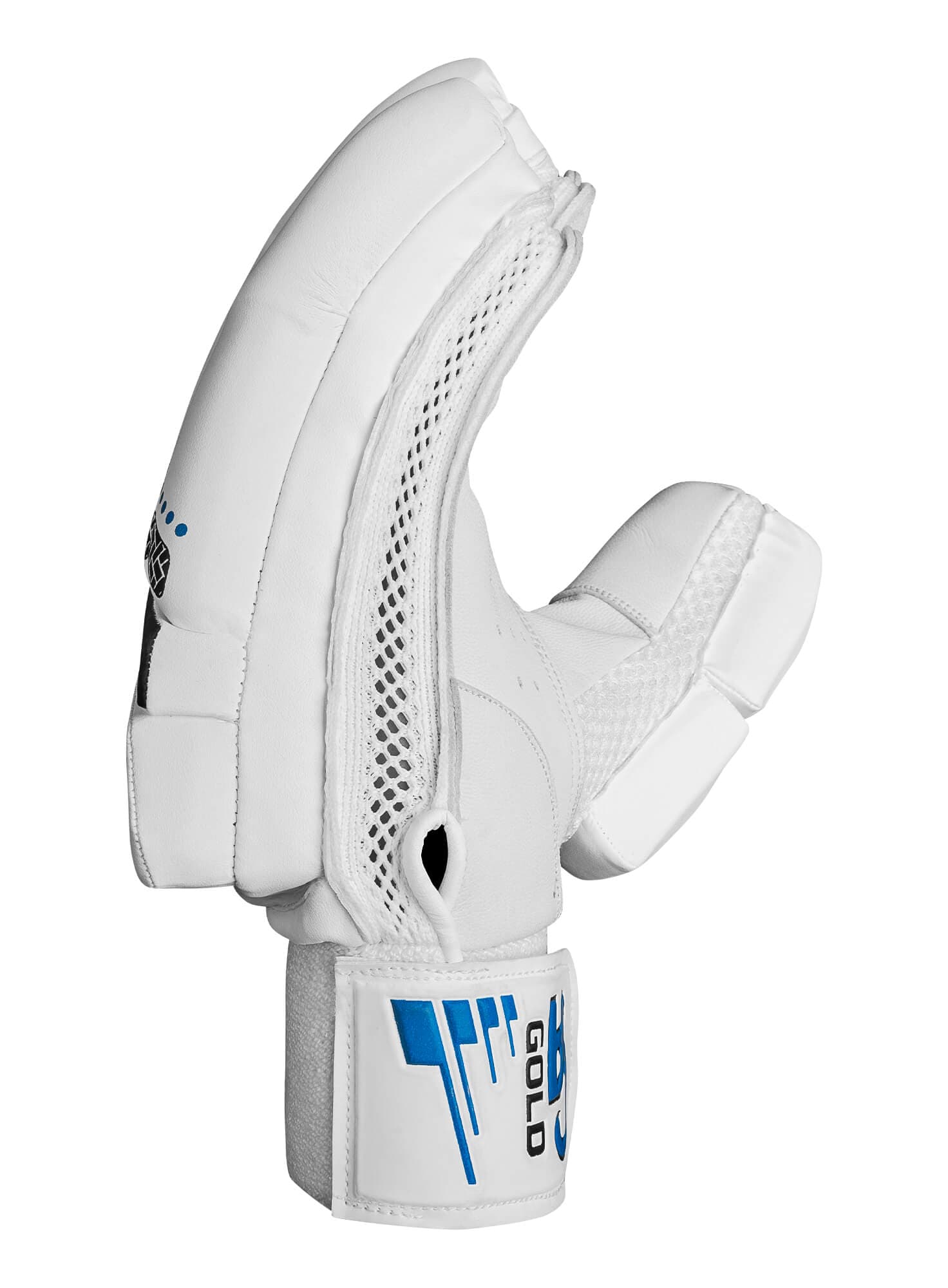 CA GOLD 10000 - thumbnail 4