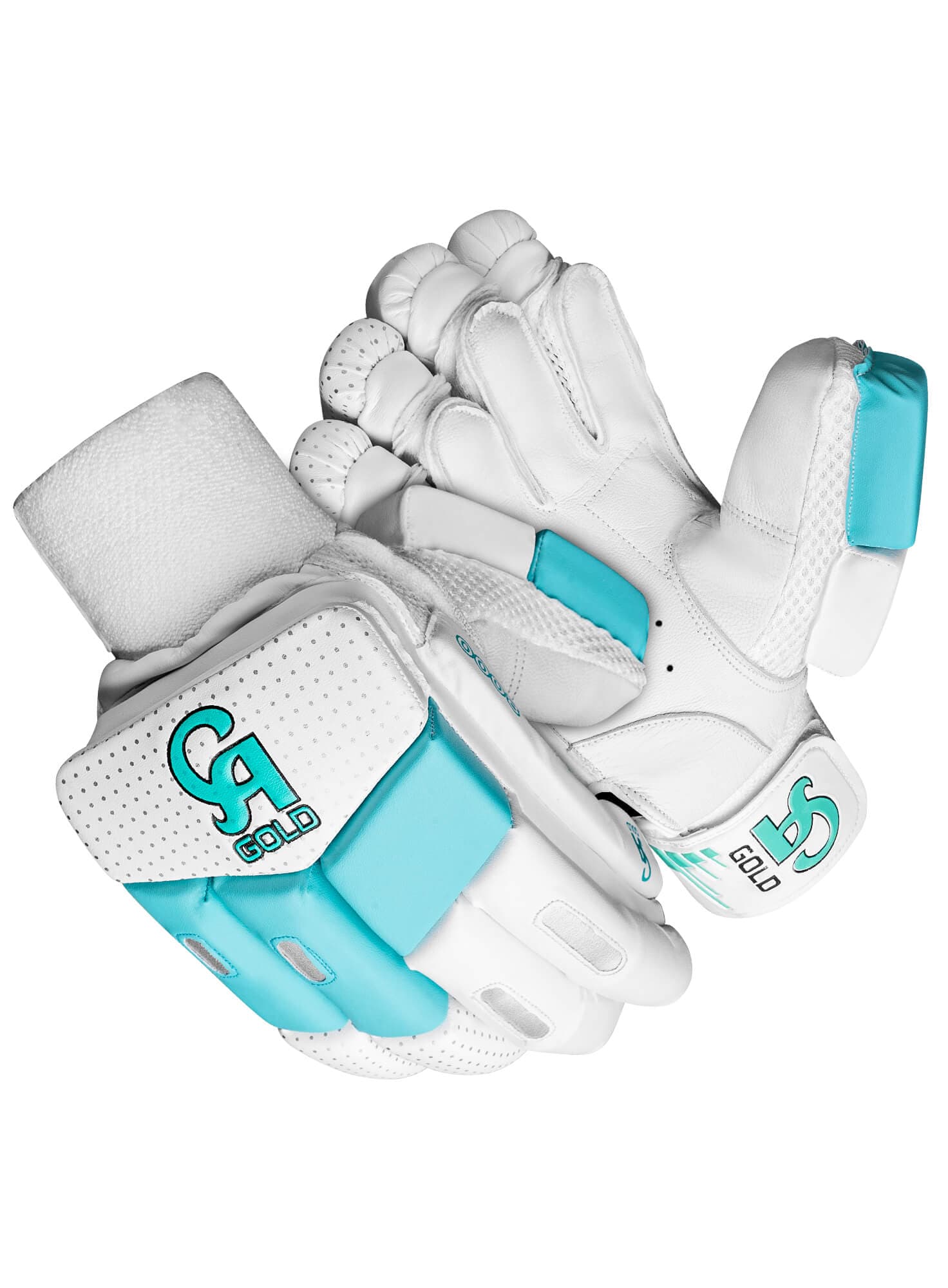 CA GOLD 8000 - thumbnail 5