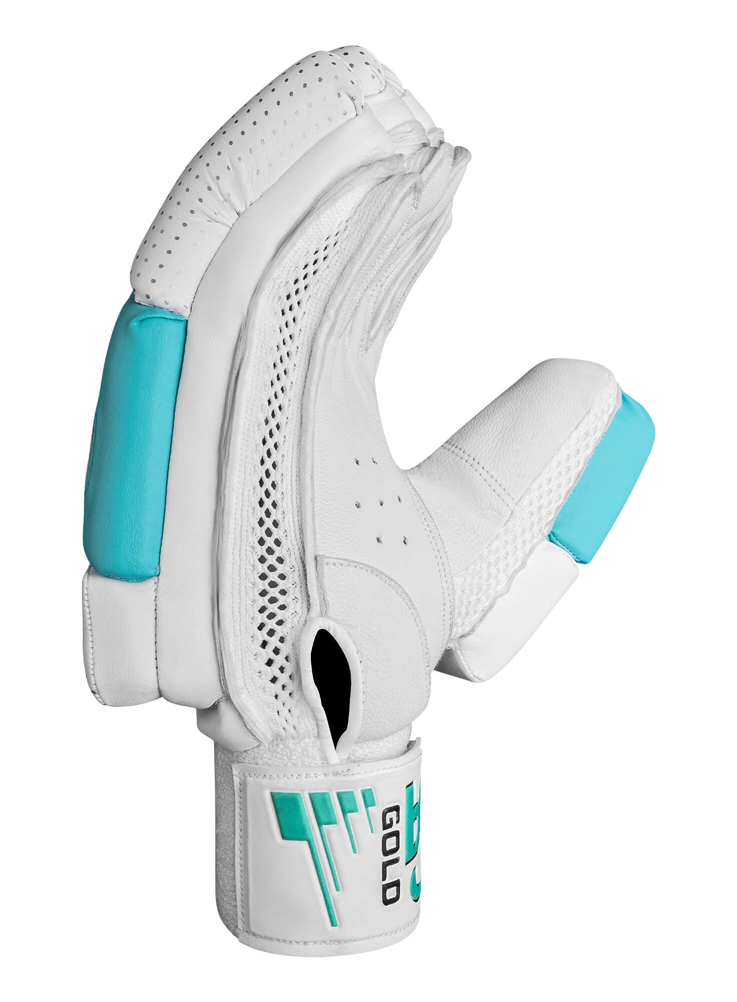 CA GOLD 8000 - thumbnail 4