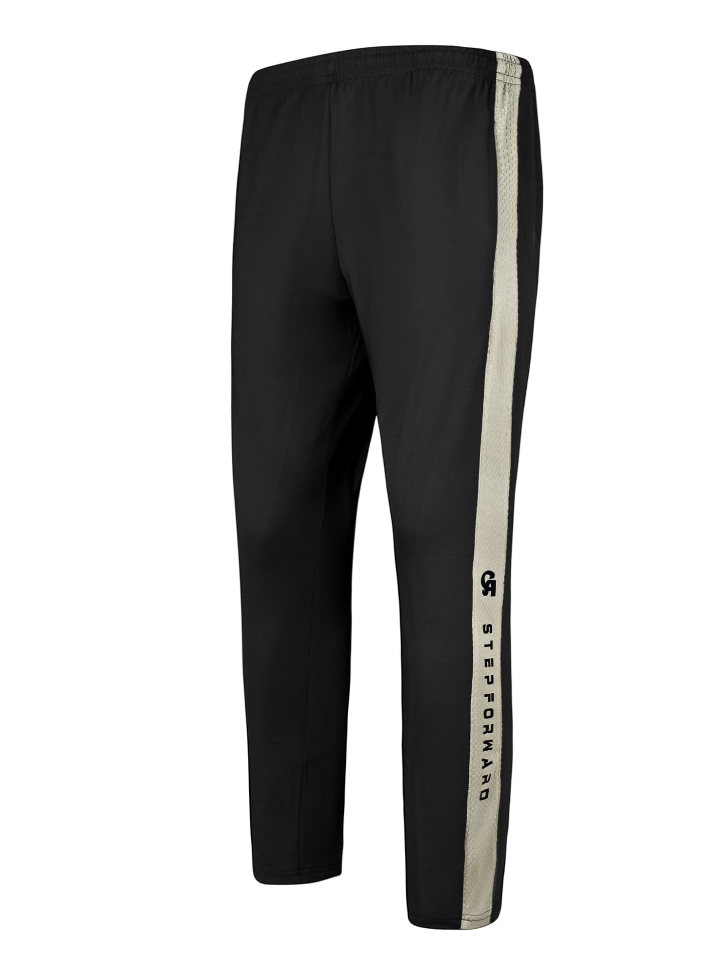 Step Forward - image 1