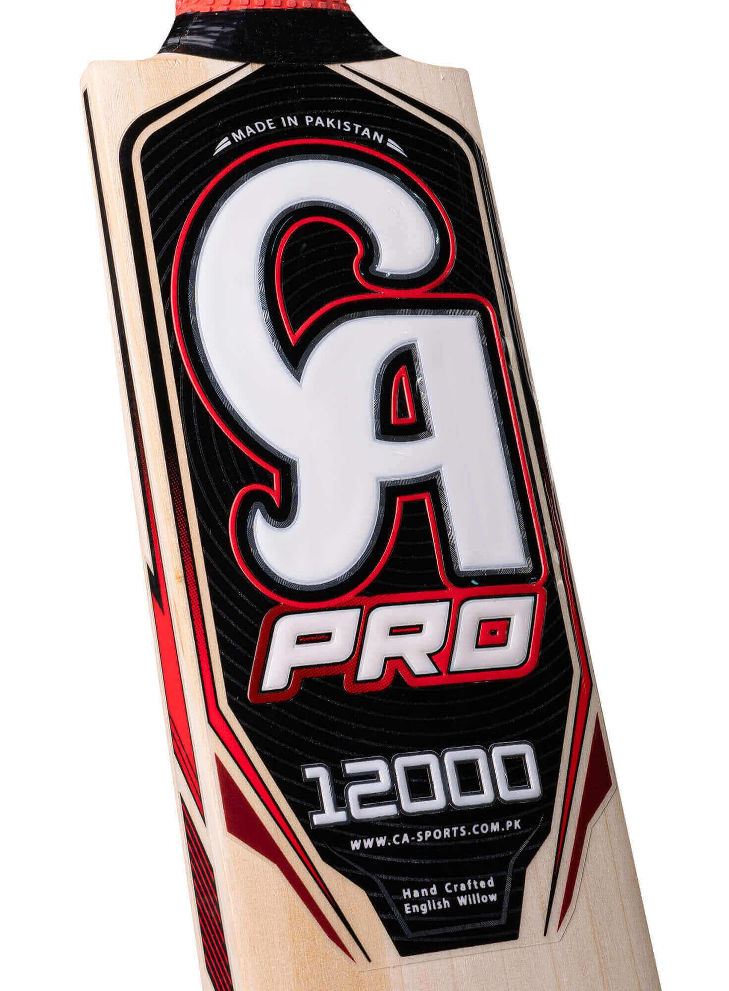 CA Pro 12000 - thumbnail 5