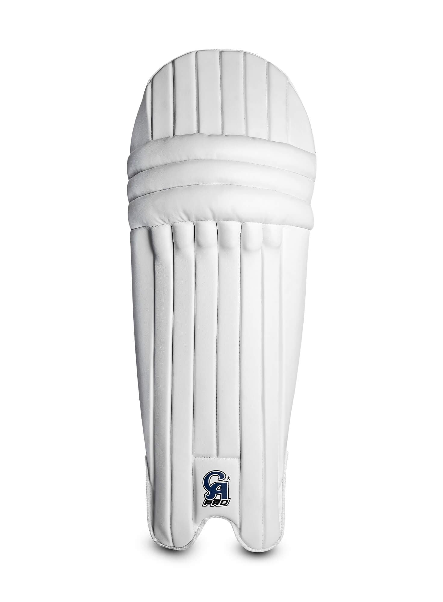 CA Pro 2000 - thumbnail 4