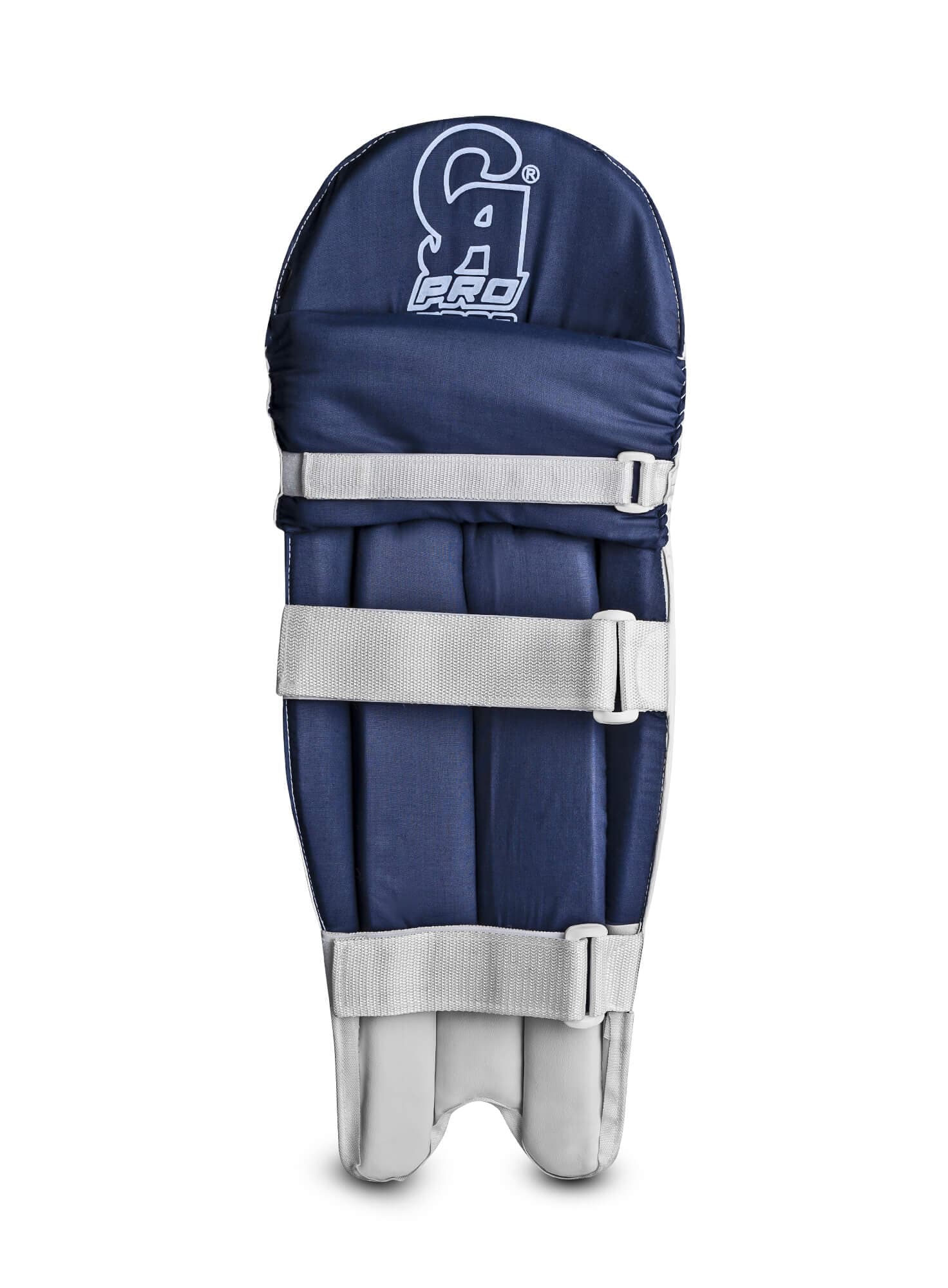 CA Pro 2000 - thumbnail 5