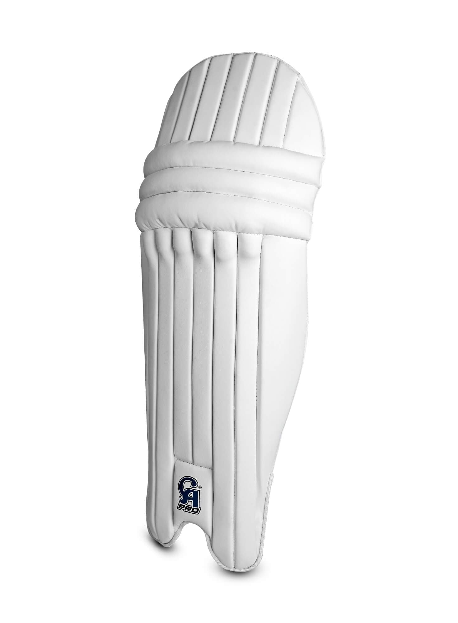 CA Pro 2000 - thumbnail 3