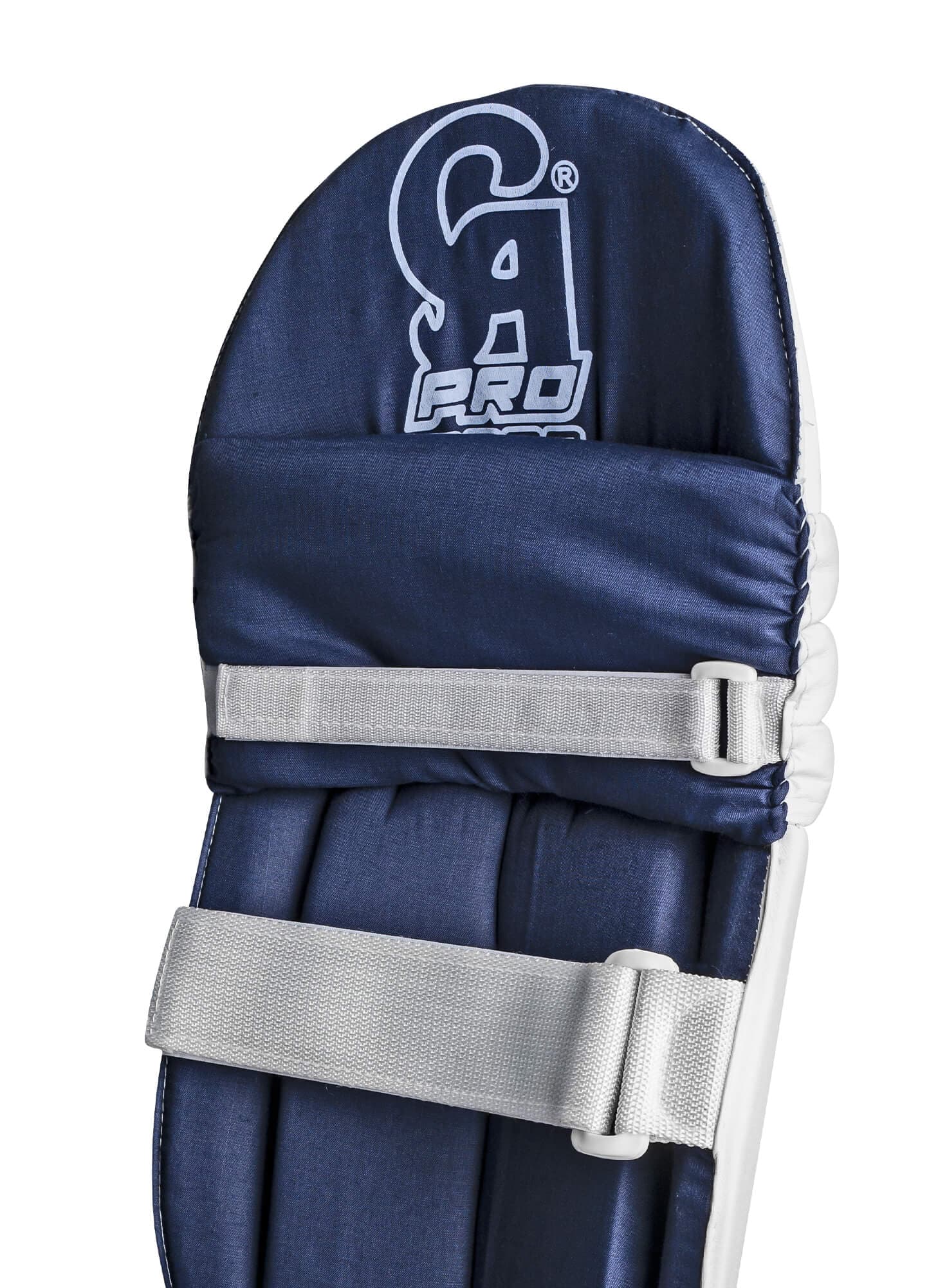 CA Pro 2000 - thumbnail 2