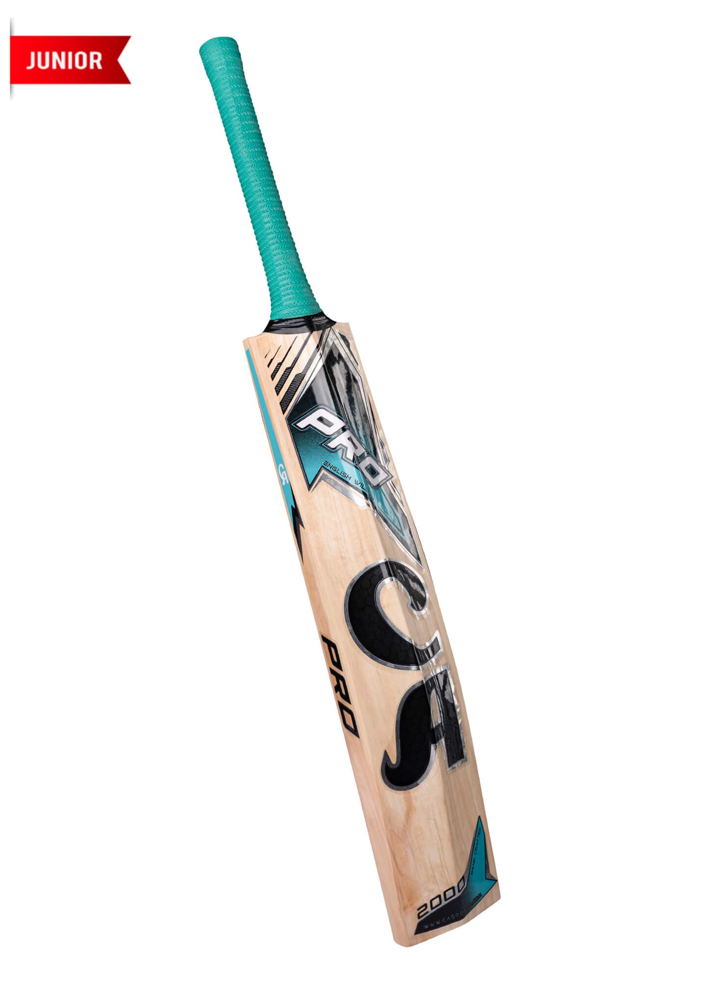 CA PRO 2000 - thumbnail 2