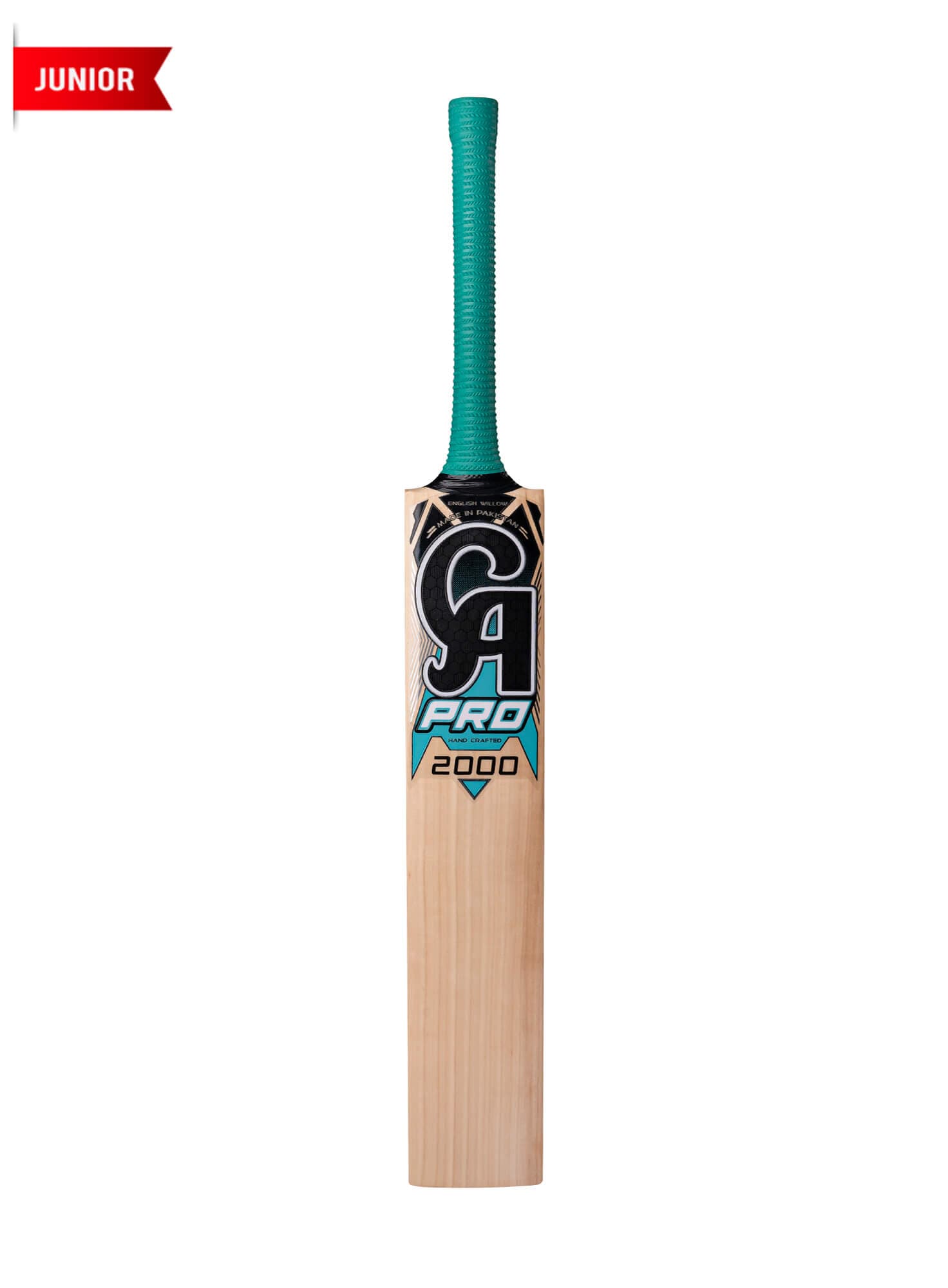 CA PRO 2000 - image 1