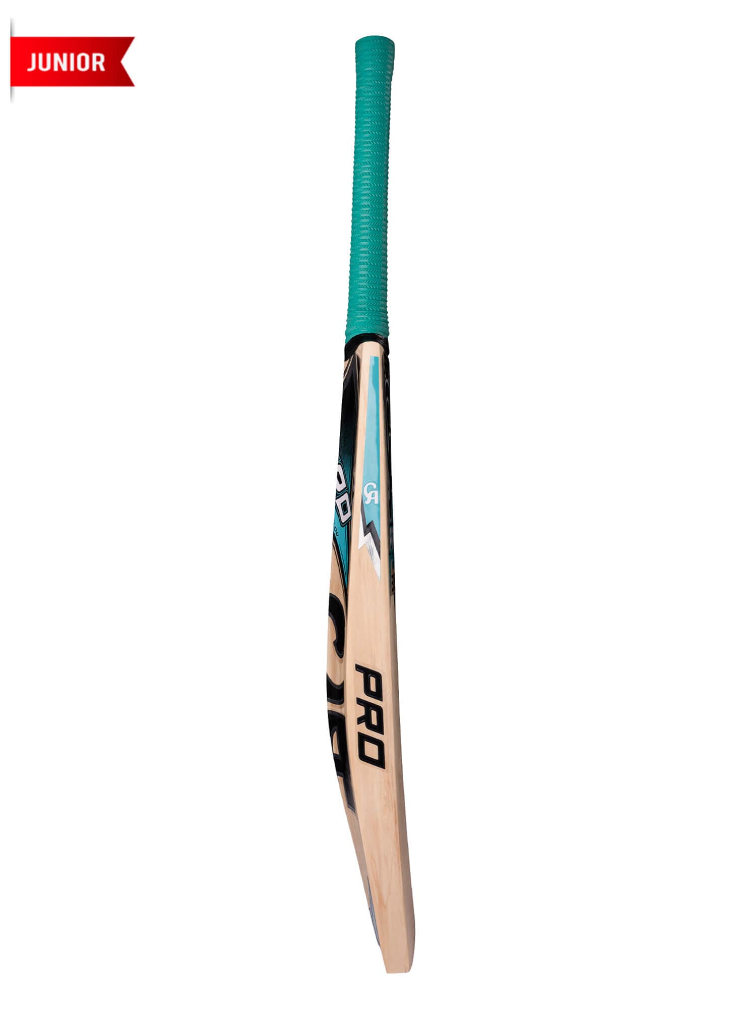 CA PRO 2000 - thumbnail 5