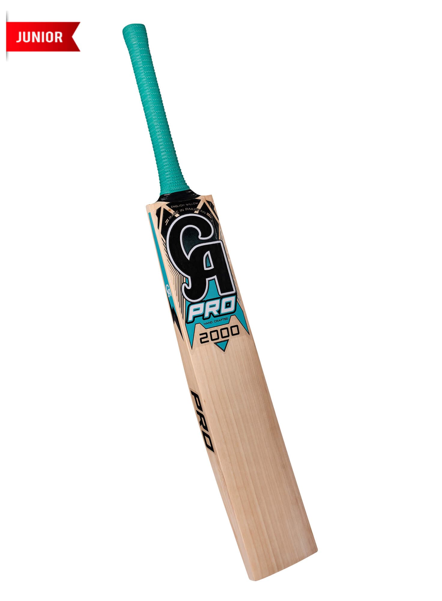 CA PRO 2000 - thumbnail 4