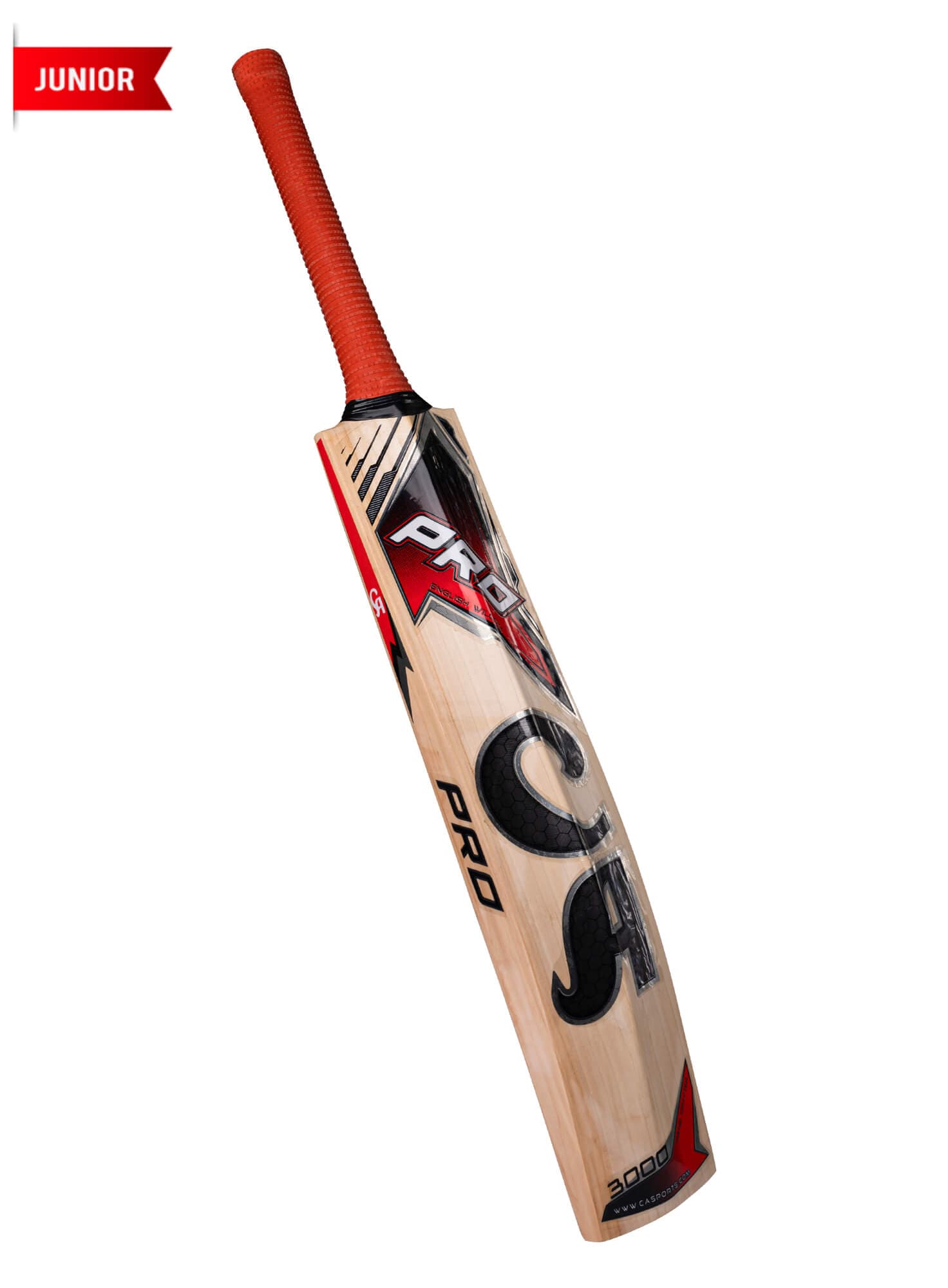 CA PRO 3000 - thumbnail 2