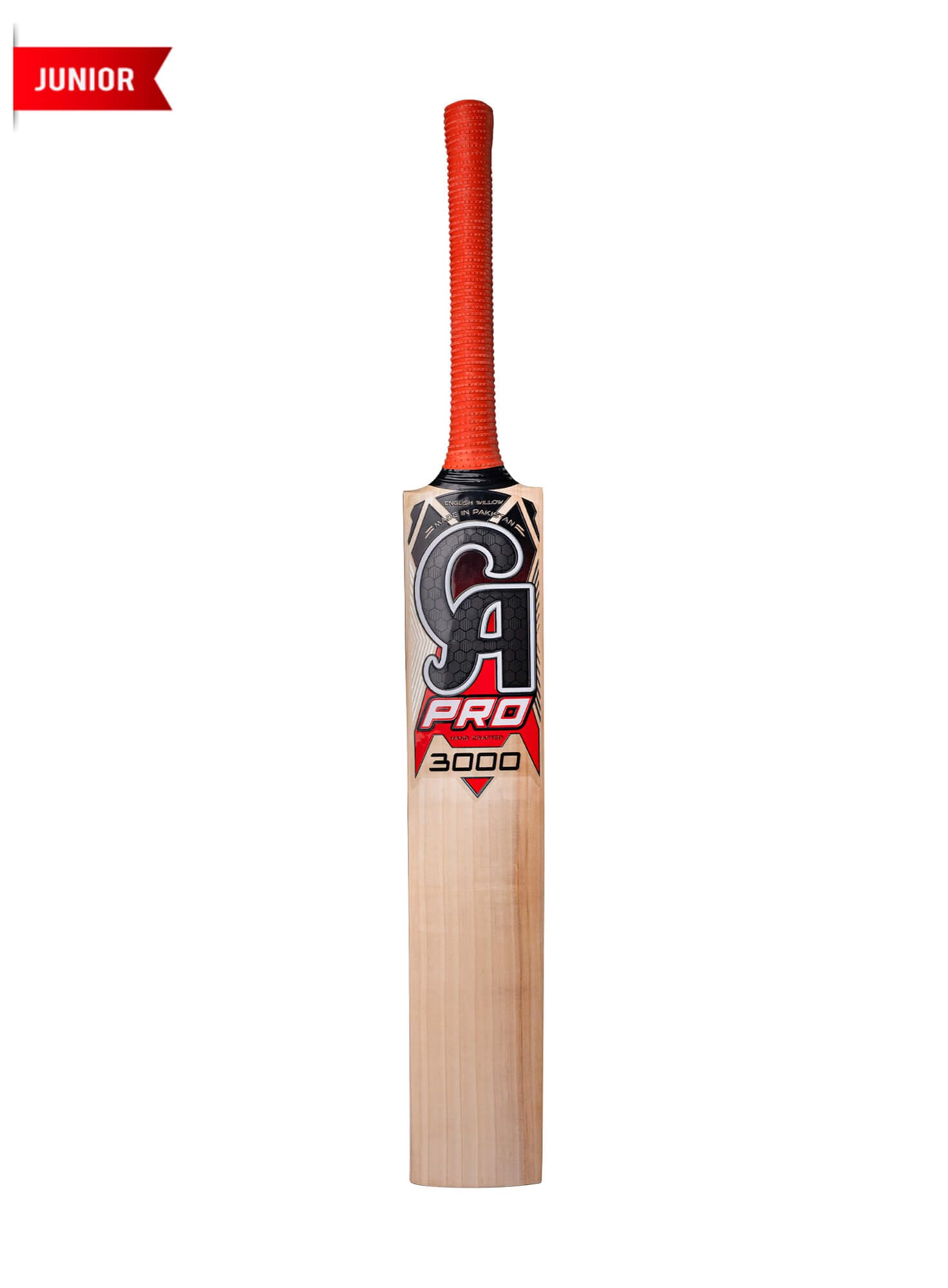 CA PRO 3000 - image 1