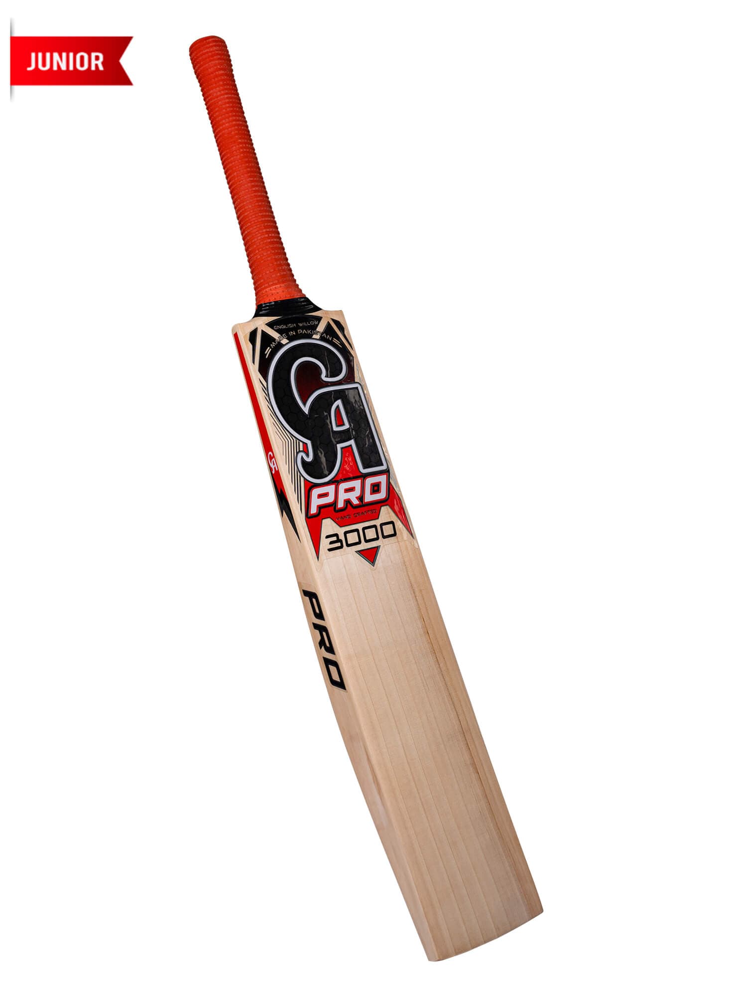 CA PRO 3000 - thumbnail 3