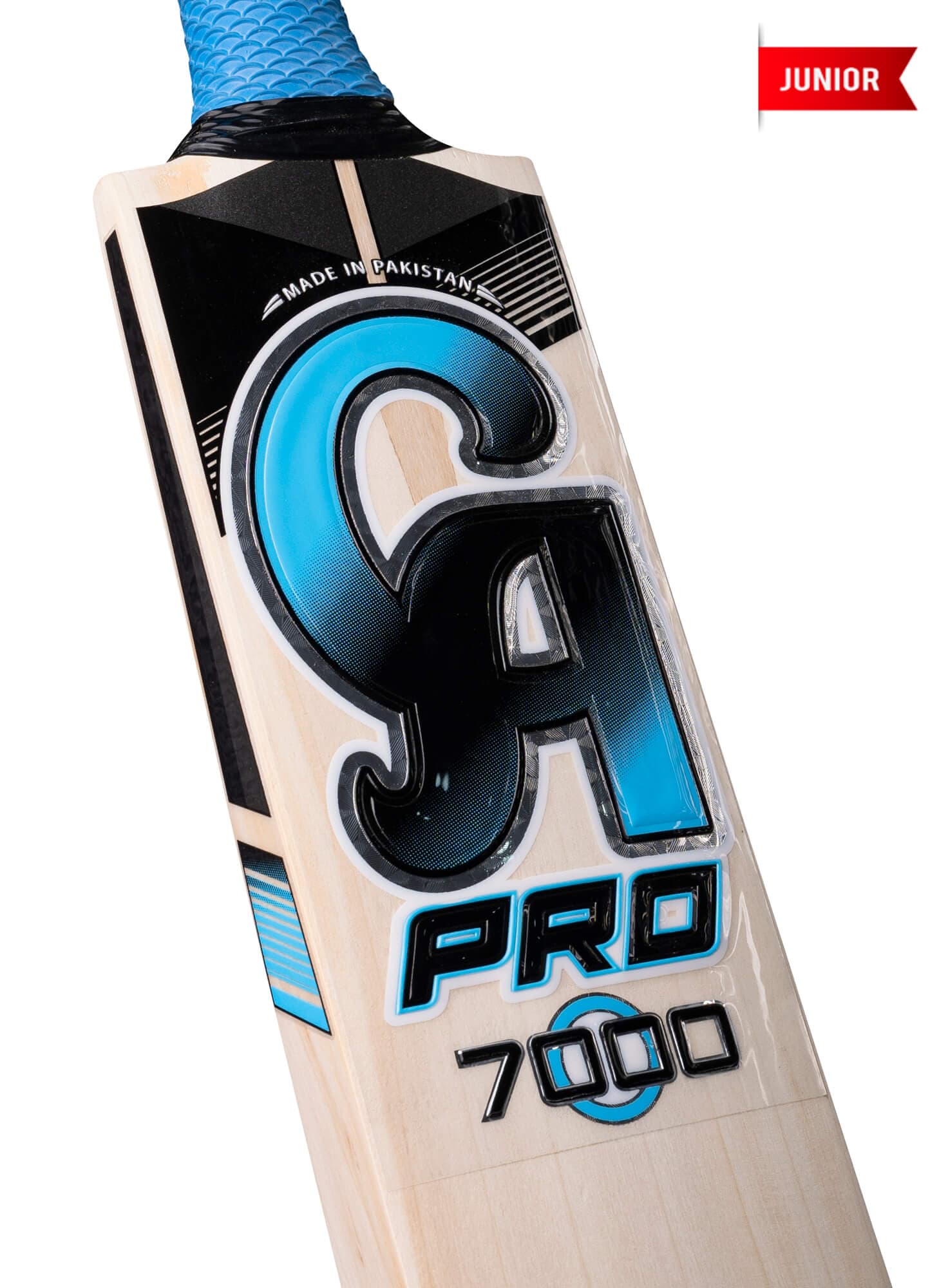 CA PRO 7000 - thumbnail 4