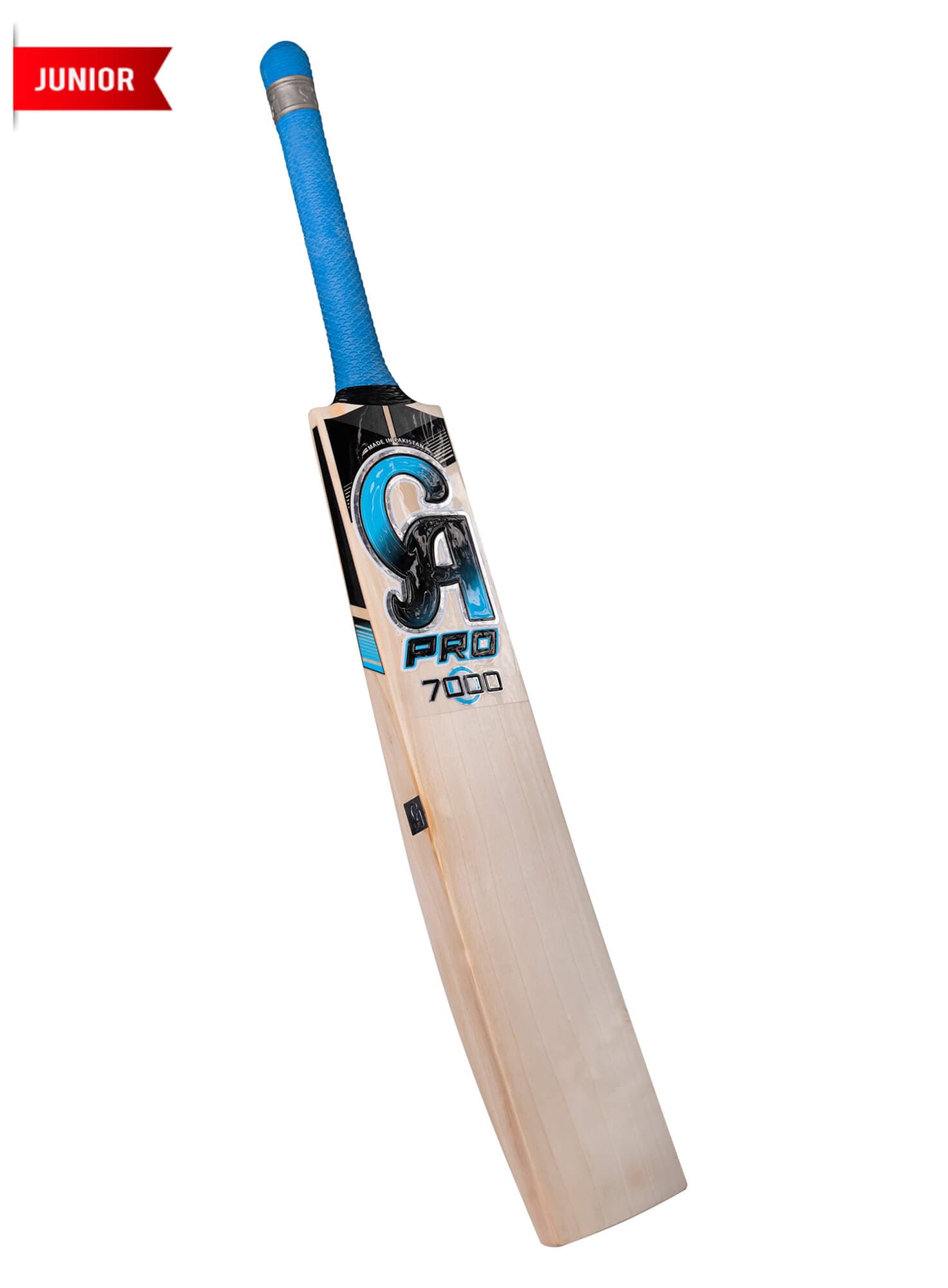 CA PRO 7000 - thumbnail 3