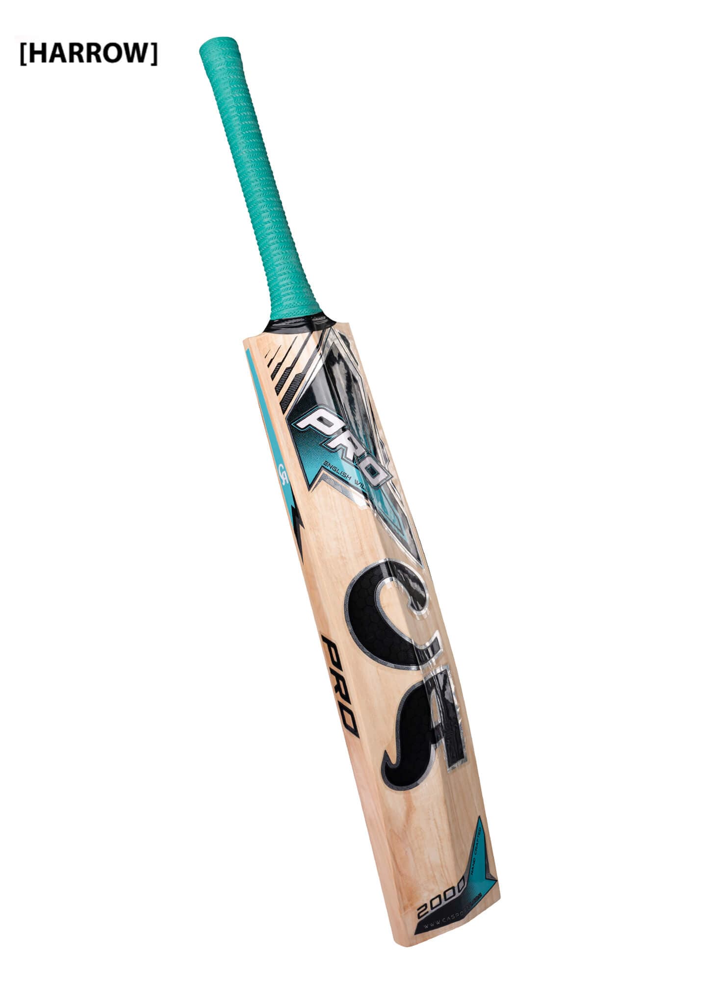 CA Pro 2000 - thumbnail 2