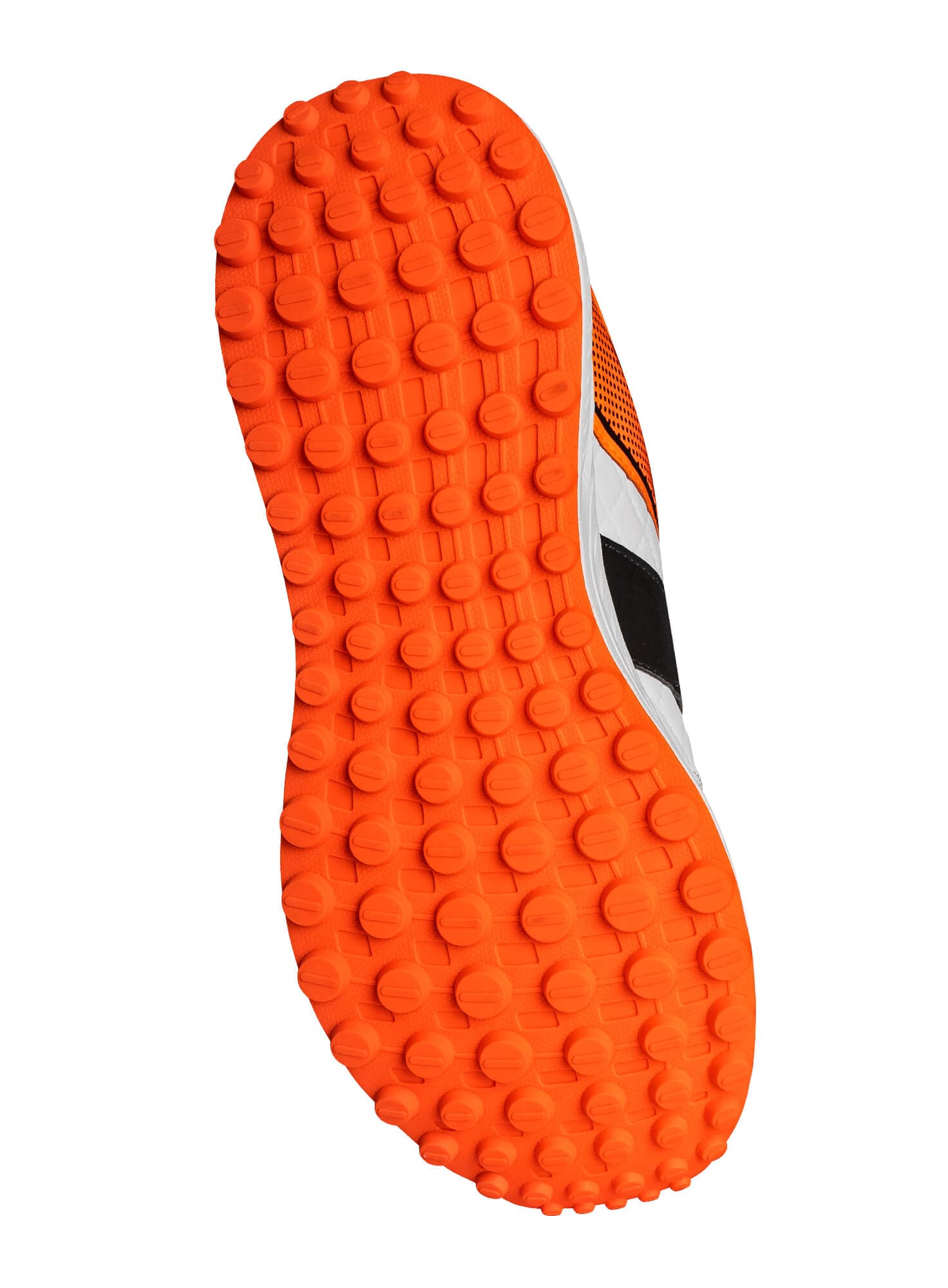 Pro Edition - thumbnail 2