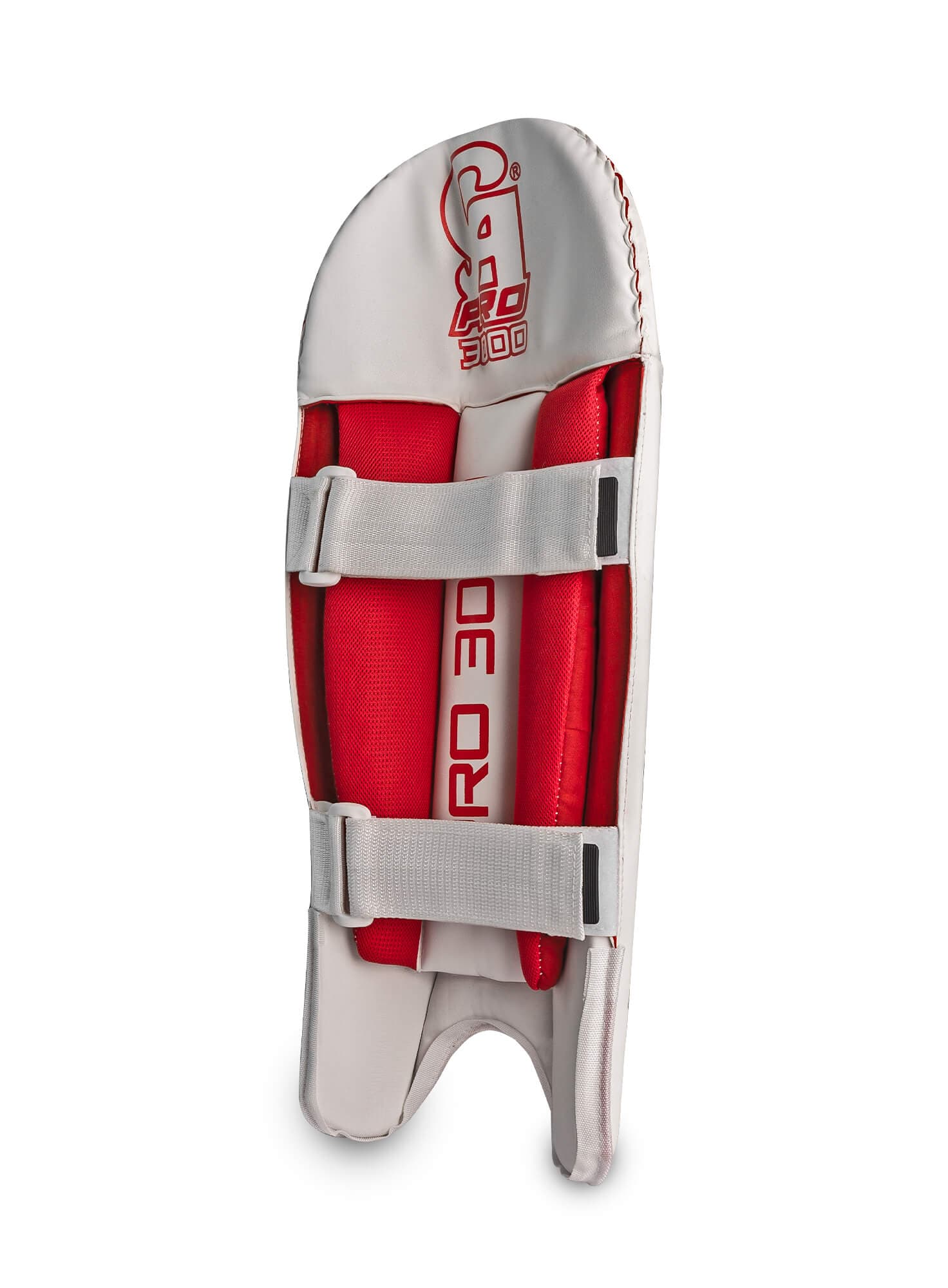 Pro 3000 - thumbnail 4