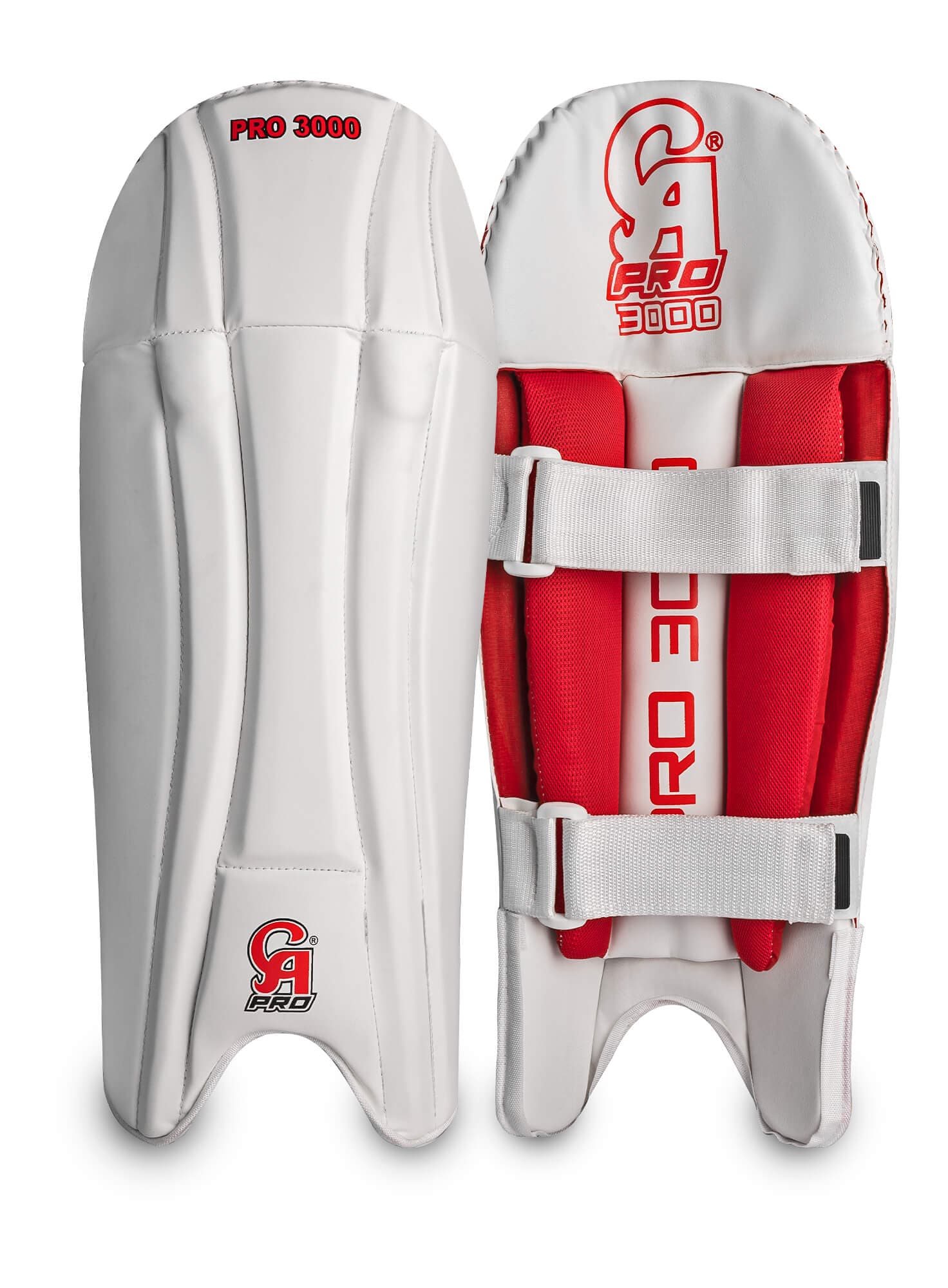 Pro 3000 - thumbnail 5