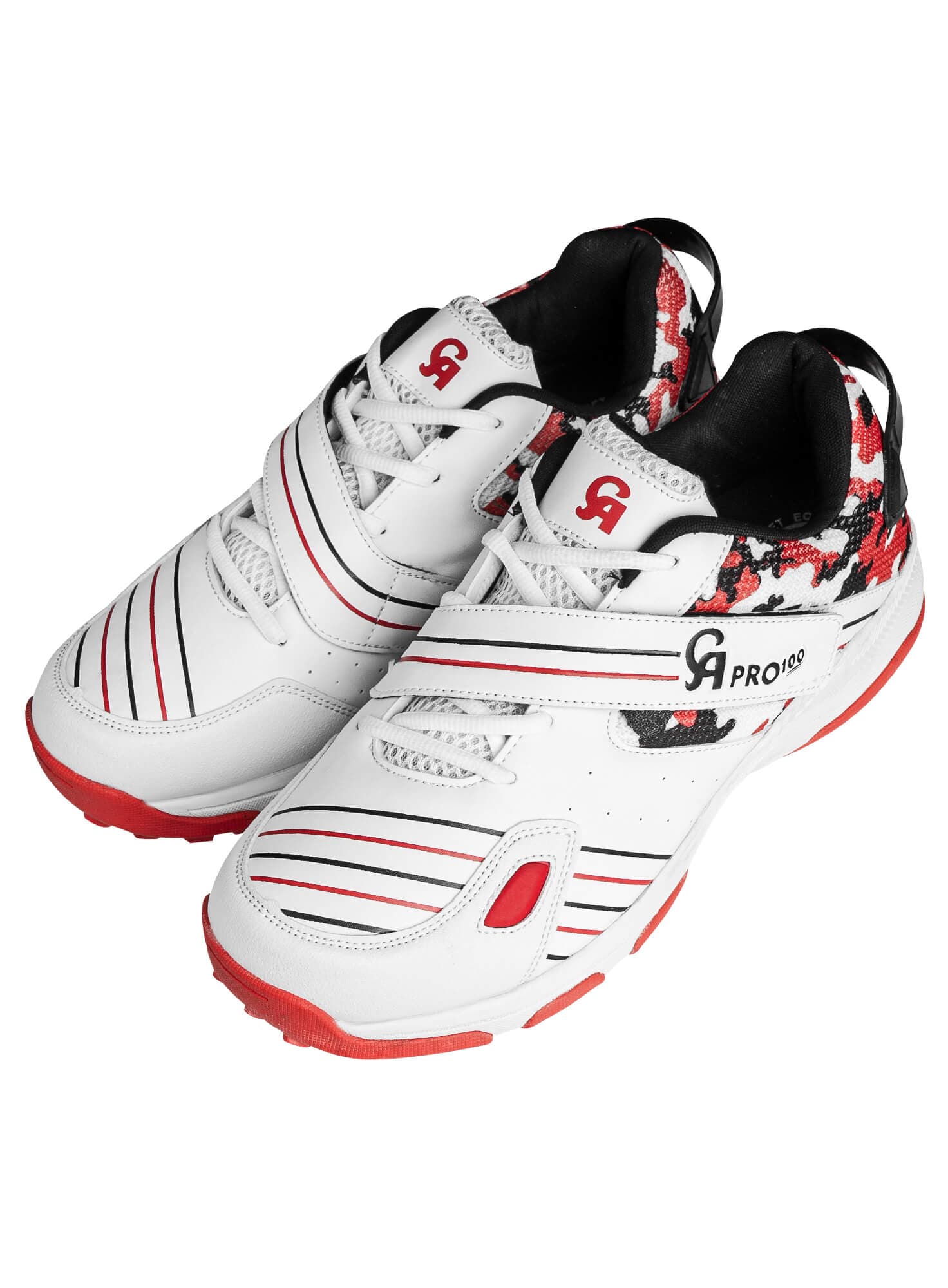 Pro 100 - thumbnail 4