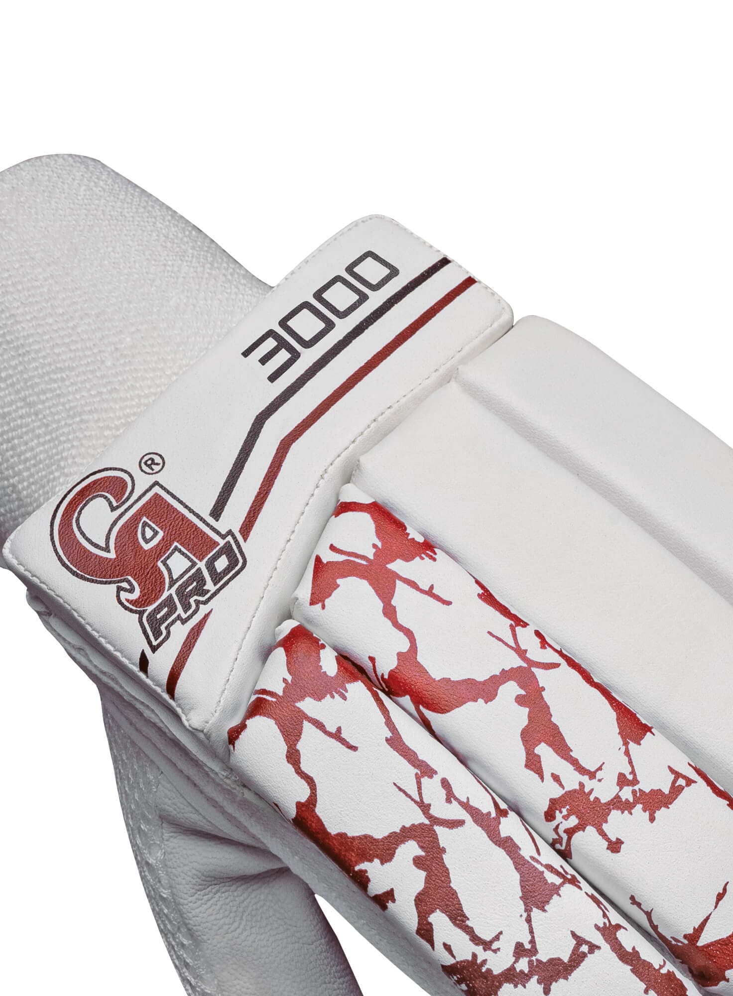 Pro 3000 - thumbnail 5