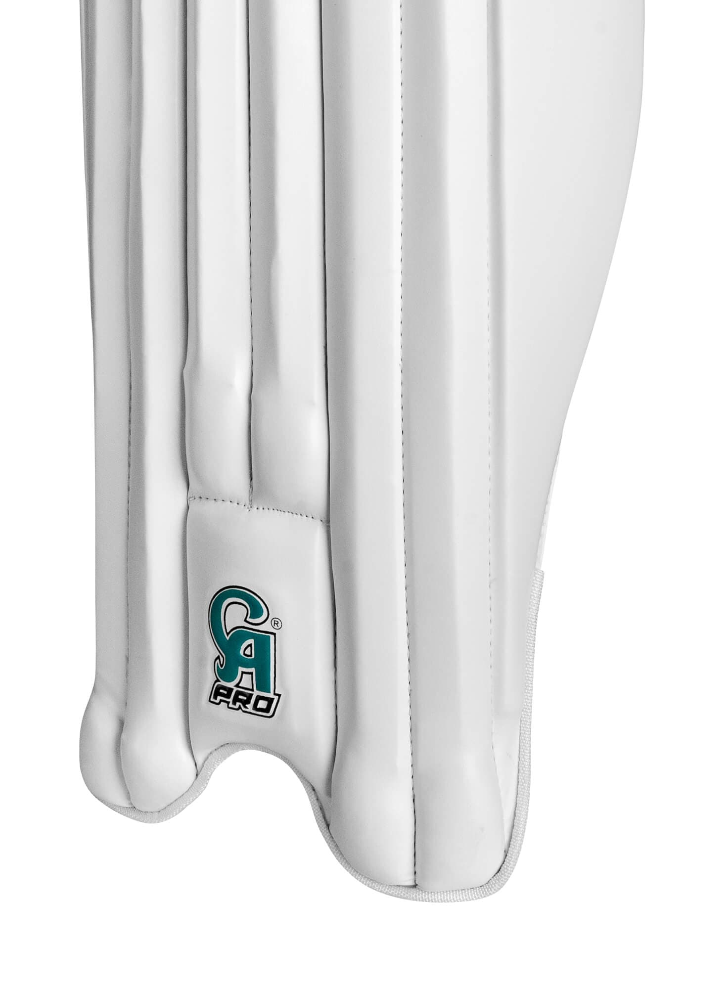 Pro 10000 - thumbnail 3