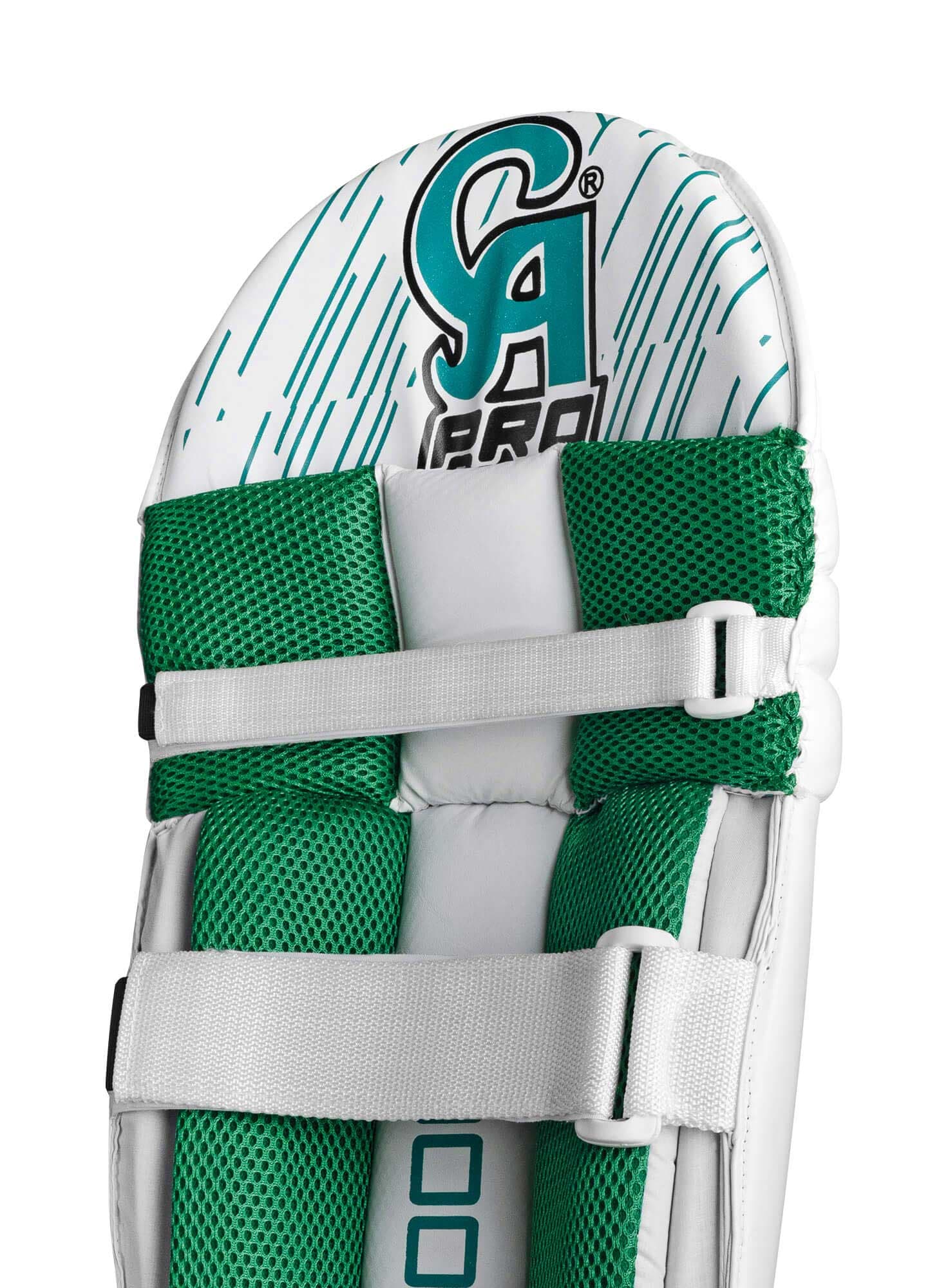 Pro 10000 - thumbnail 2