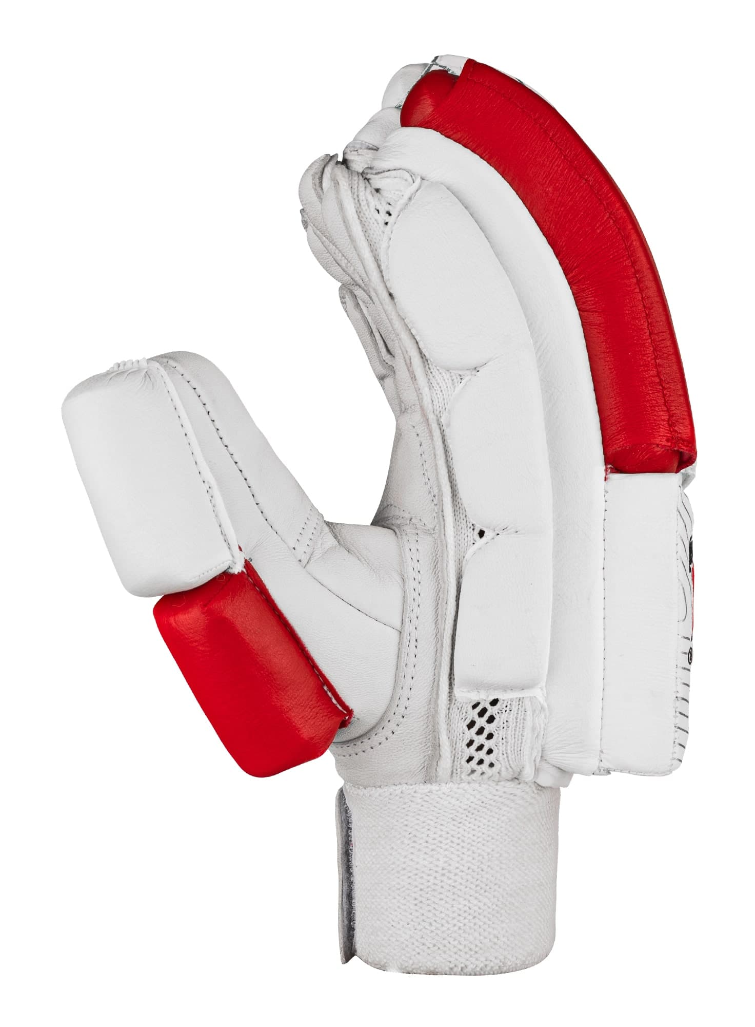 Pro Performance Edition - thumbnail 4