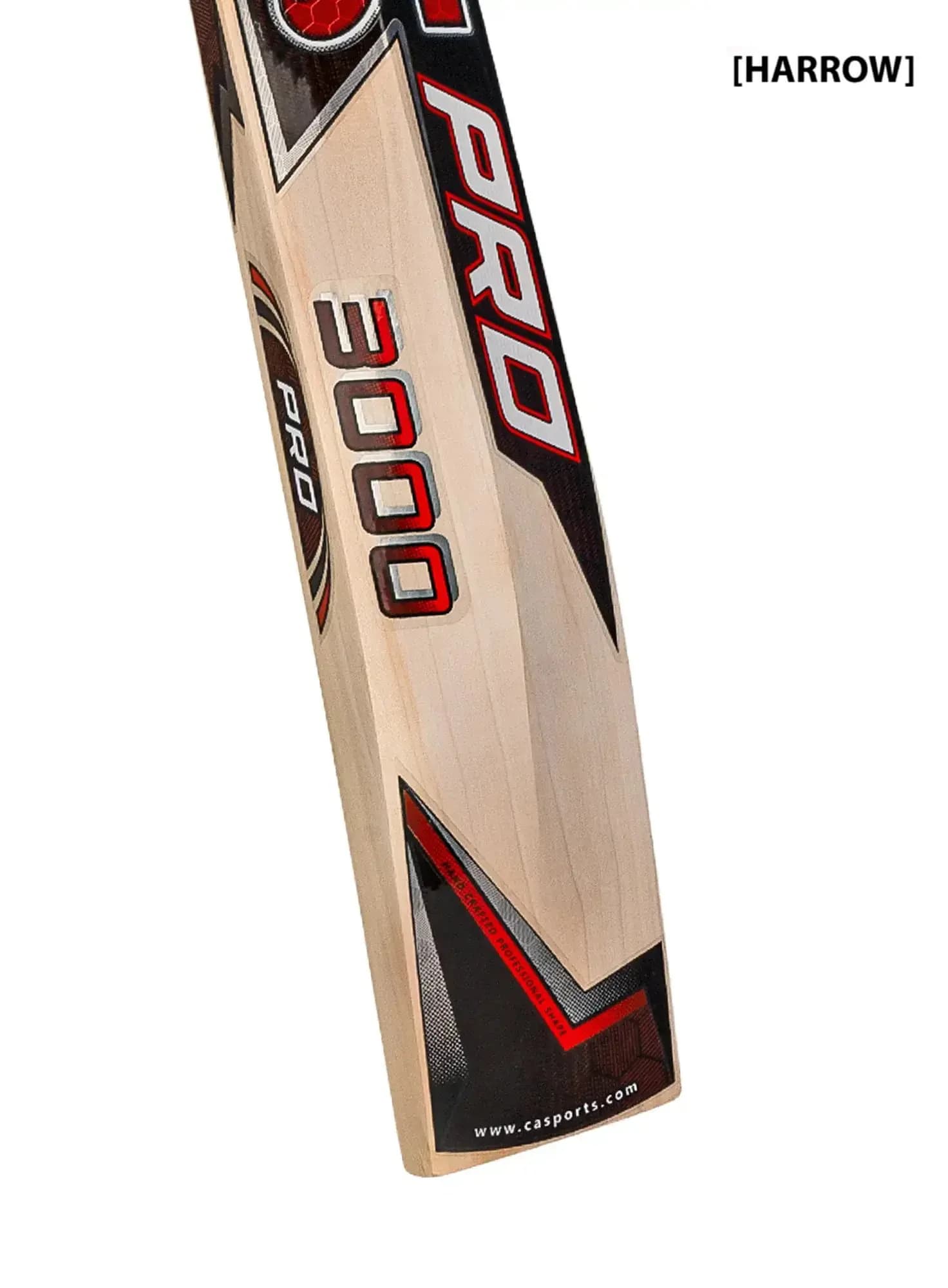 CA Pro 3000 - thumbnail 4