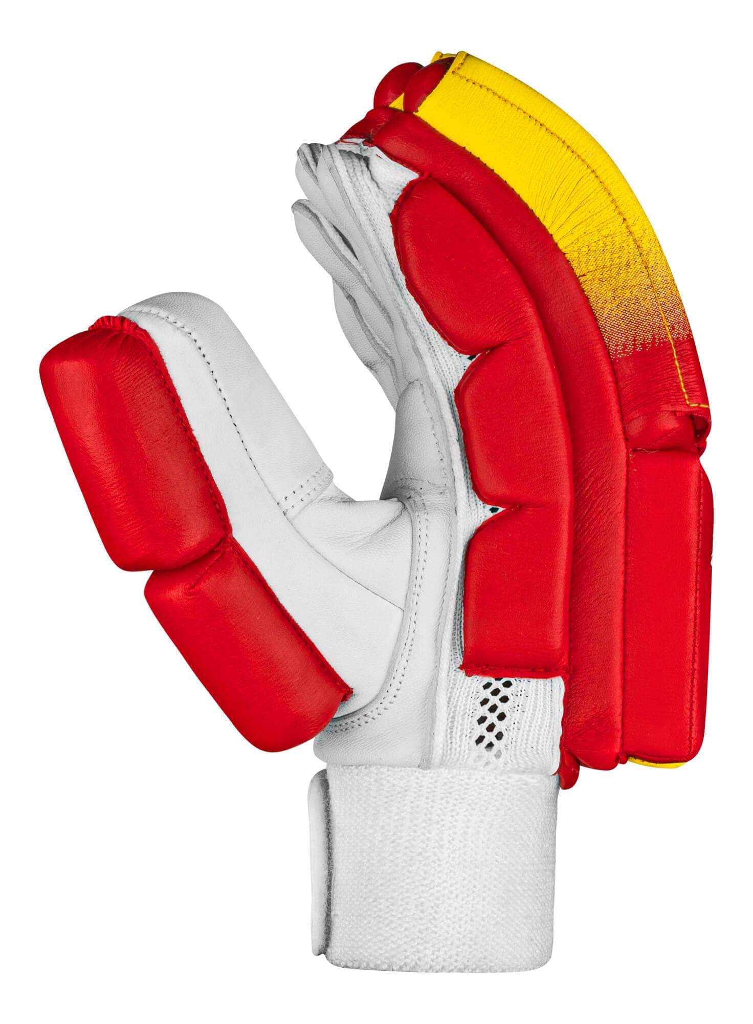 Pro Performance Edition (PSL Edition) - thumbnail 4