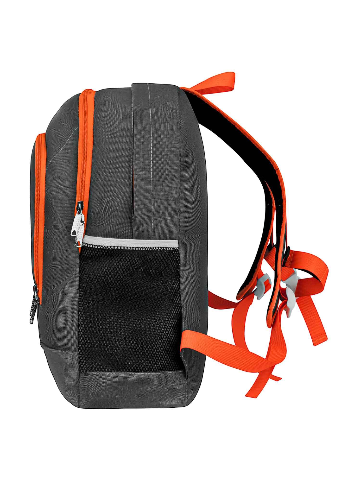 Alpha Orange - thumbnail 4