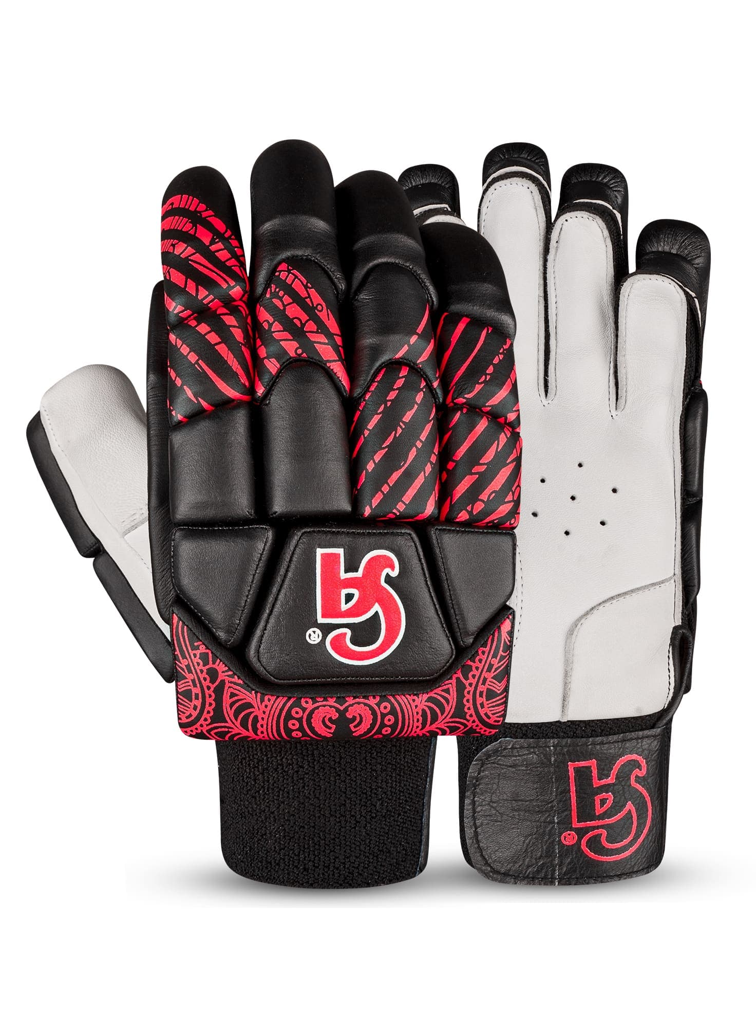 BA 56 BBL Edition - thumbnail 3