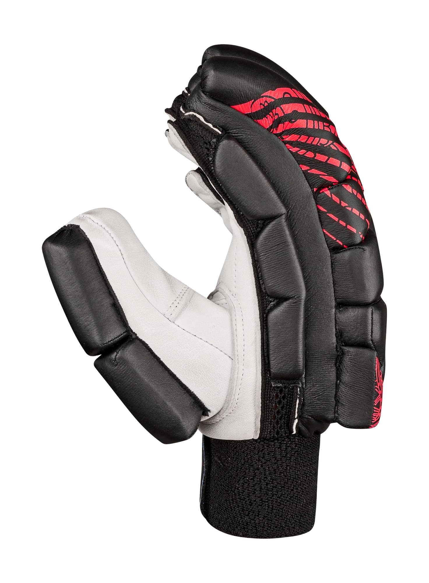 BA 56 BBL Edition - thumbnail 4