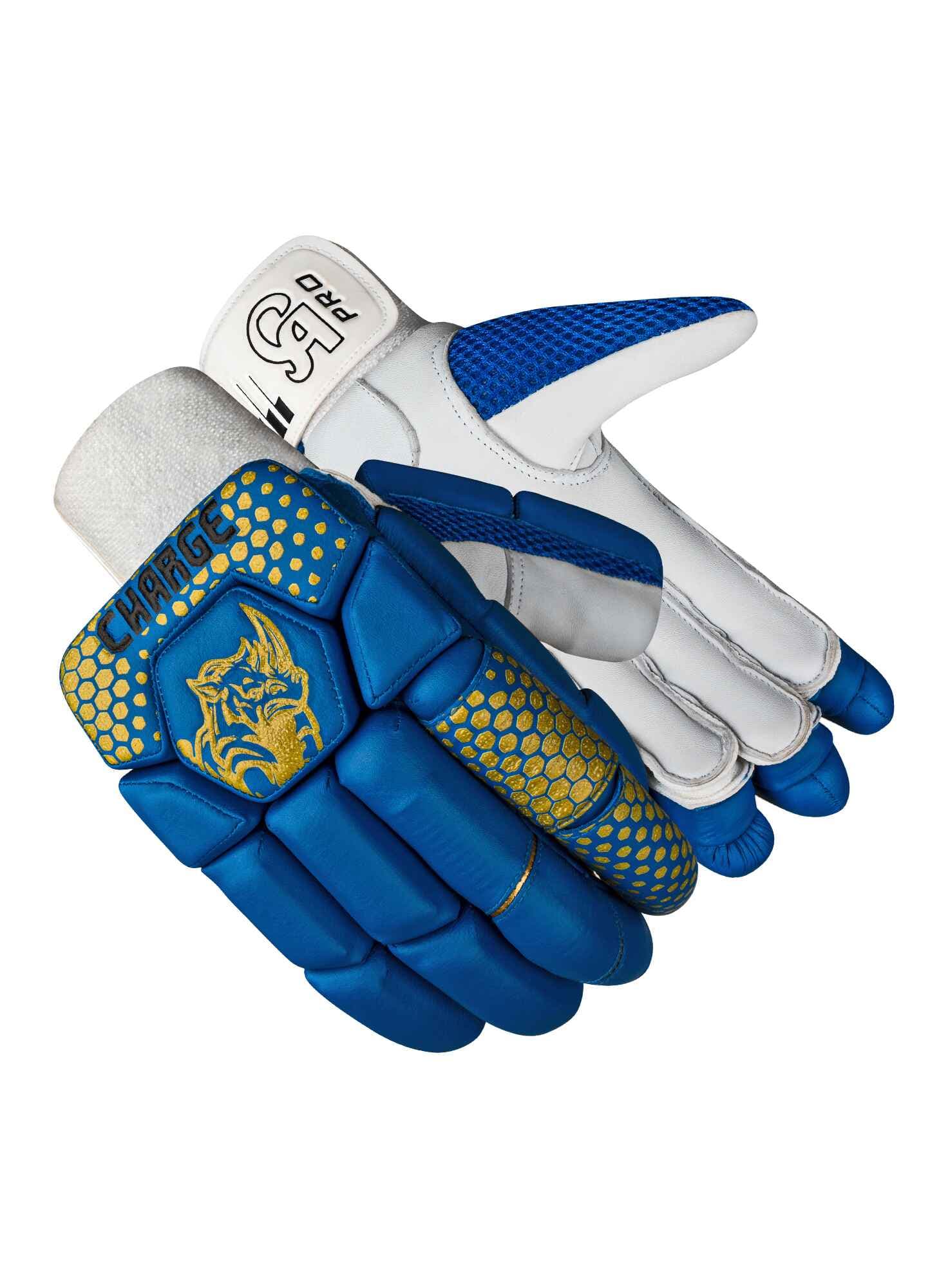 CA Charge - thumbnail 5