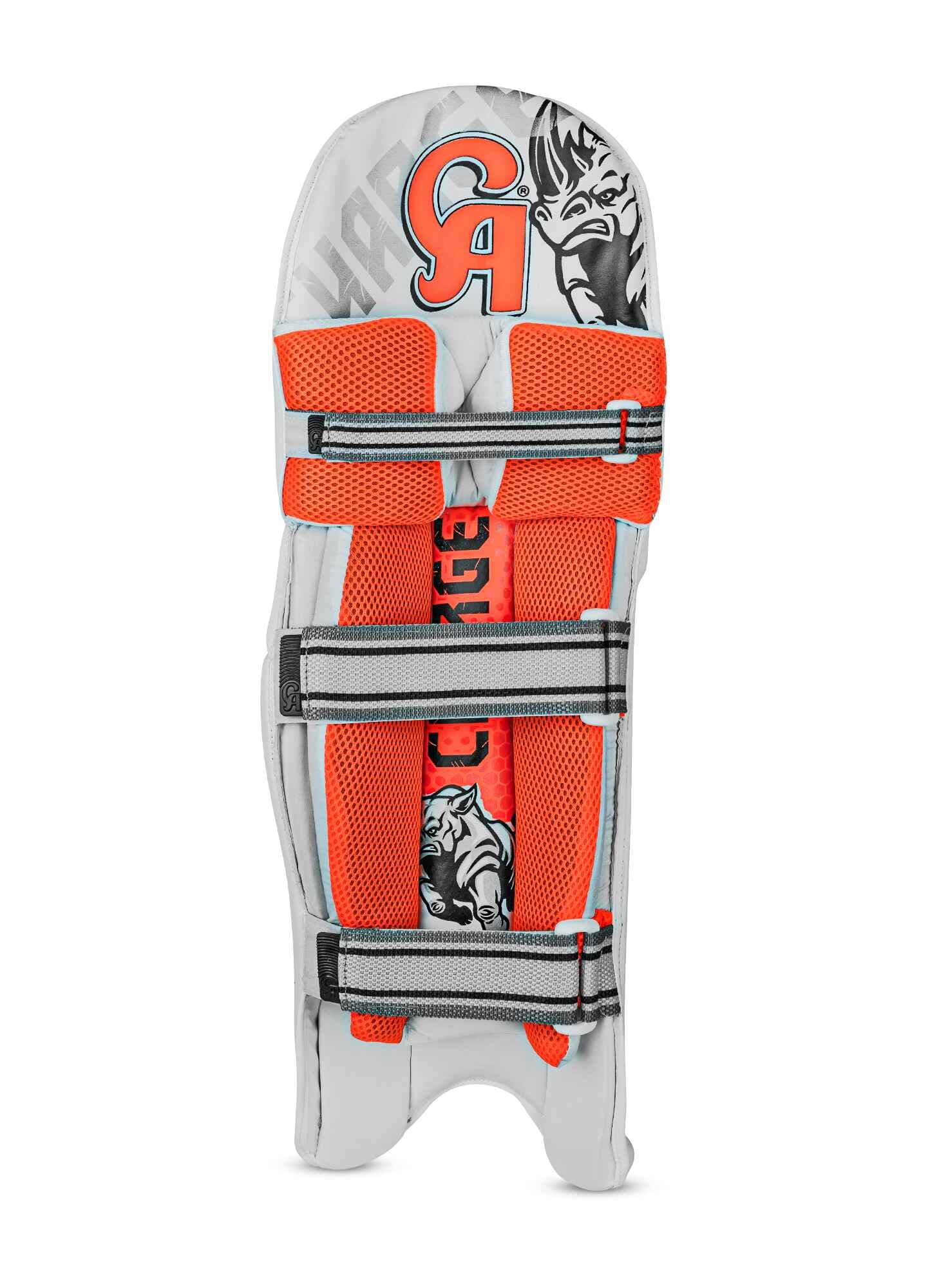 CA Charge - thumbnail 3