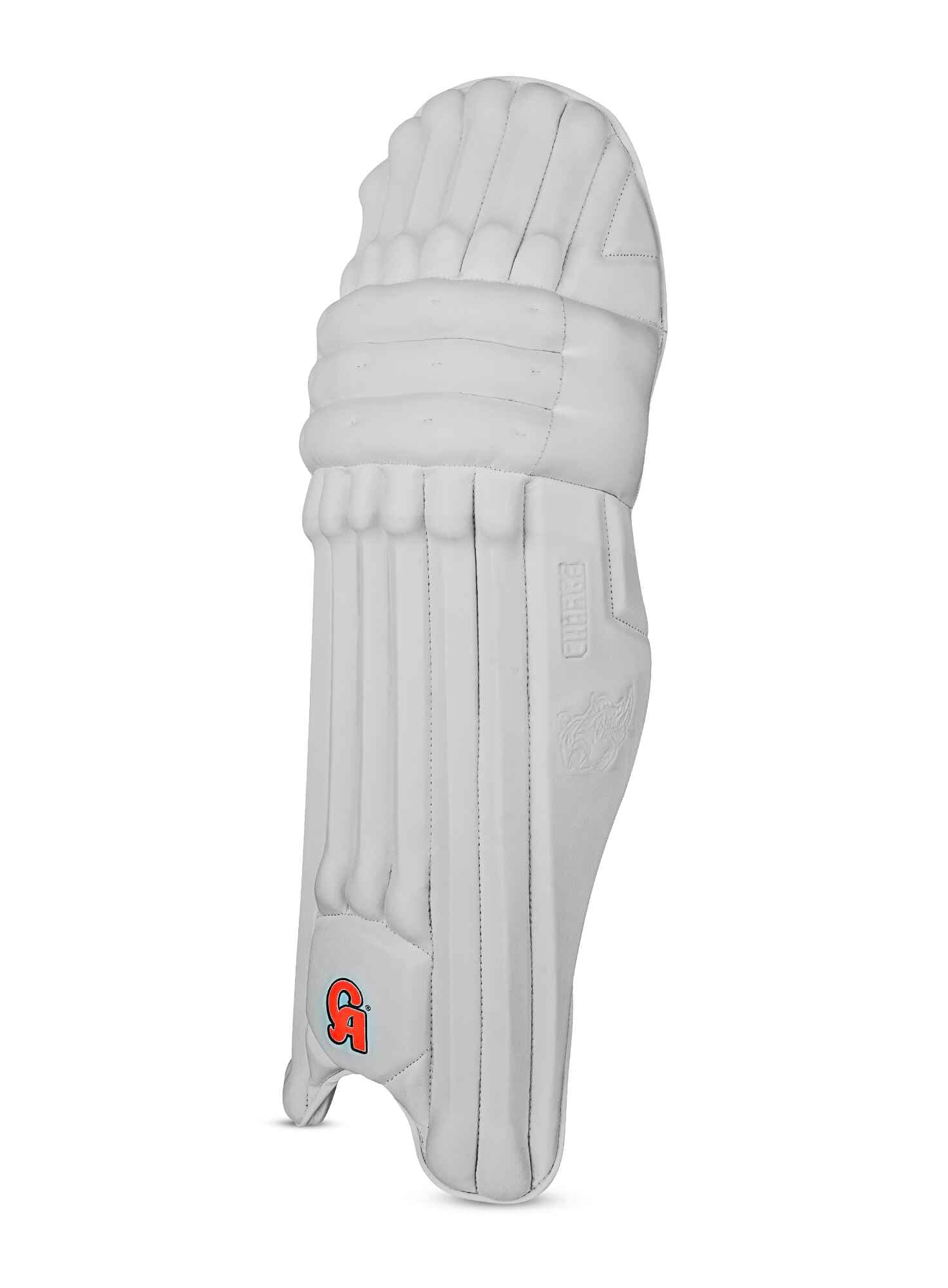 CA Charge - thumbnail 4